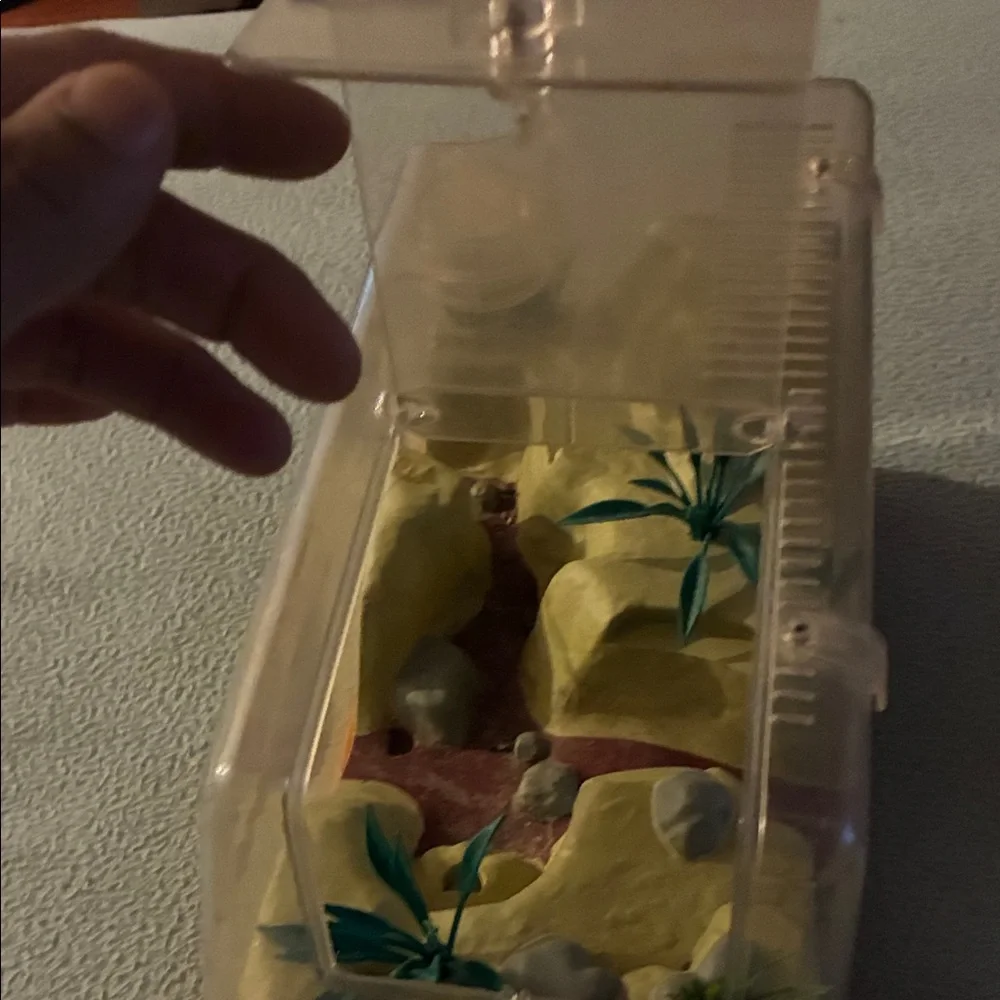 Backyard Safari Habitat Terrarium